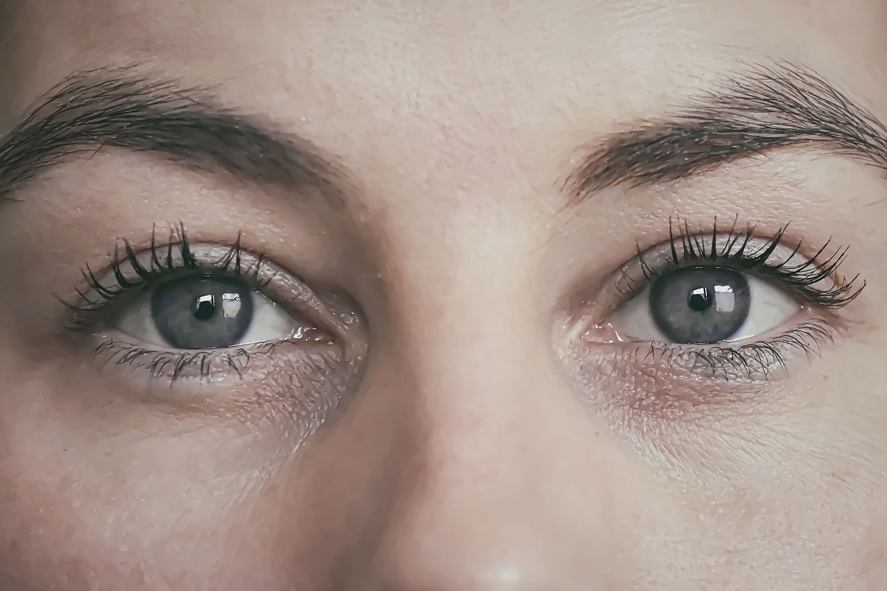Human and Artificial Intelligence - Philosophical Ambiguities